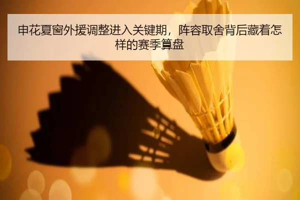 申花夏窗外援调整进入关键期，阵容取舍背后藏着怎样的赛季算盘